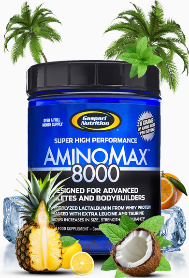 Gaspari Nutrition AminoMax 8000 Review