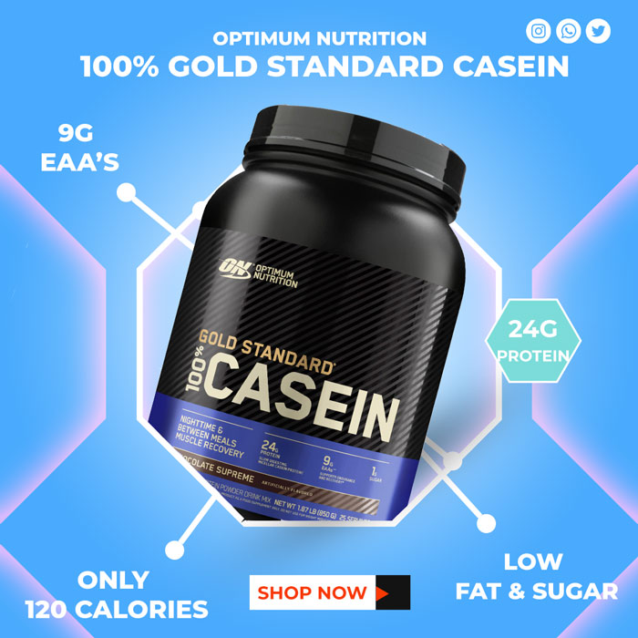 Optimum Nutrition 100% Gold Standard Casein 6