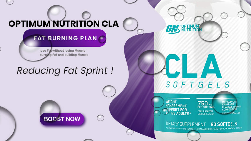 Optimum Nutrition CLA 2