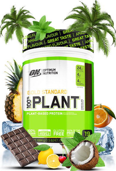 Optimum Nutrition Gold Standard 100% Plant Review