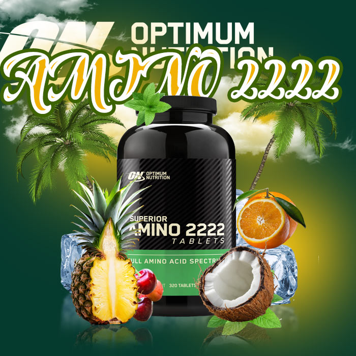 Optimum Nutrition Superior Amino 2222 12