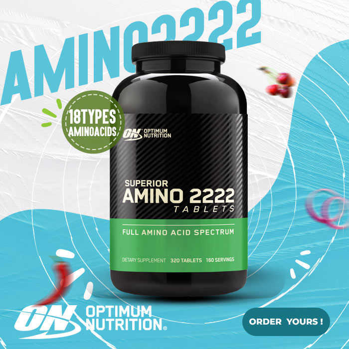 Optimum Nutrition Superior Amino 2222 13