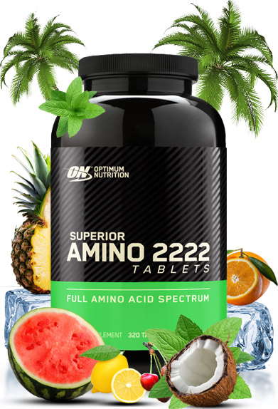 Optimum Nutrition Superior Amino 2222 Review