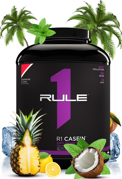 Rule1 R1 Casein Protein review