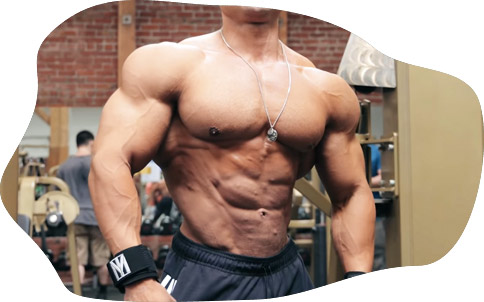 8 how to Increase Muscle Mass with Creatine