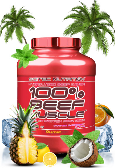 Scitec Nutrition 100% Beef Muscle Review