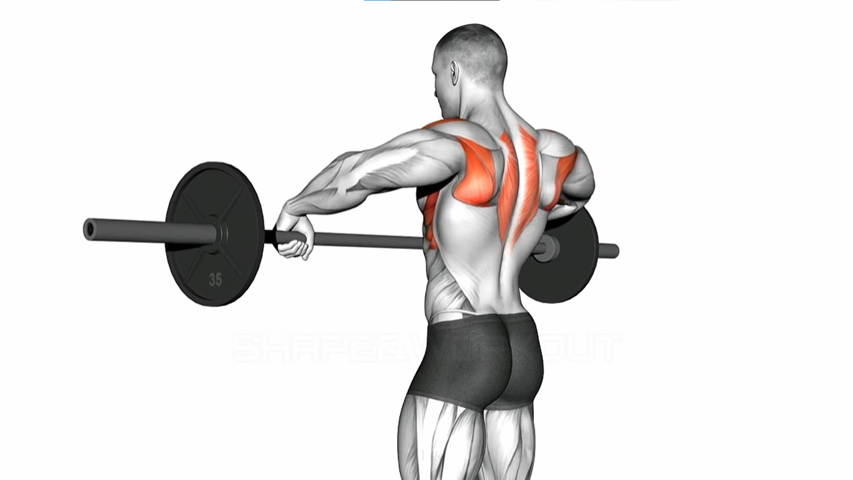 Training to strengthen the trapezius muscles 2