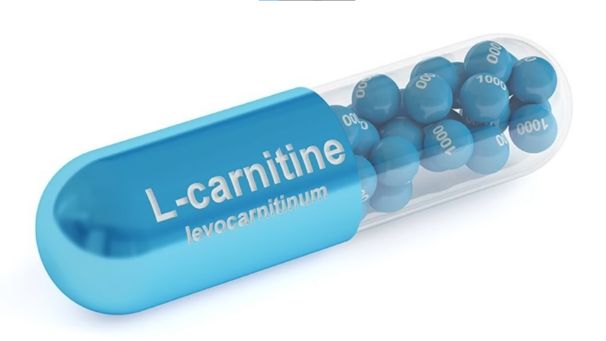 L-carnitine effect in women 1